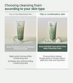 ANUA Heartleaf Quercetinol Pore Deep Cleansing Foam