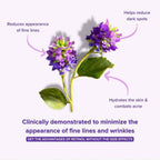 AQUA Bakuchiol Eye Serum — Retinol Alternative for Firming & Brightening