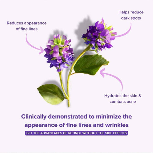 AQUA Bakuchiol Eye Serum — Retinol Alternative for Firming & Brightening